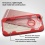 Transparent Clear/Red Challenger Hybrid Protector Cover